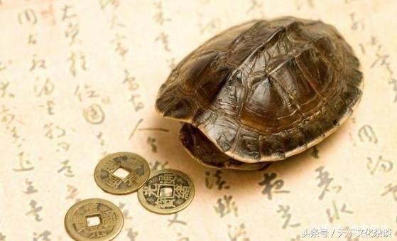 女命有钱的八字特点