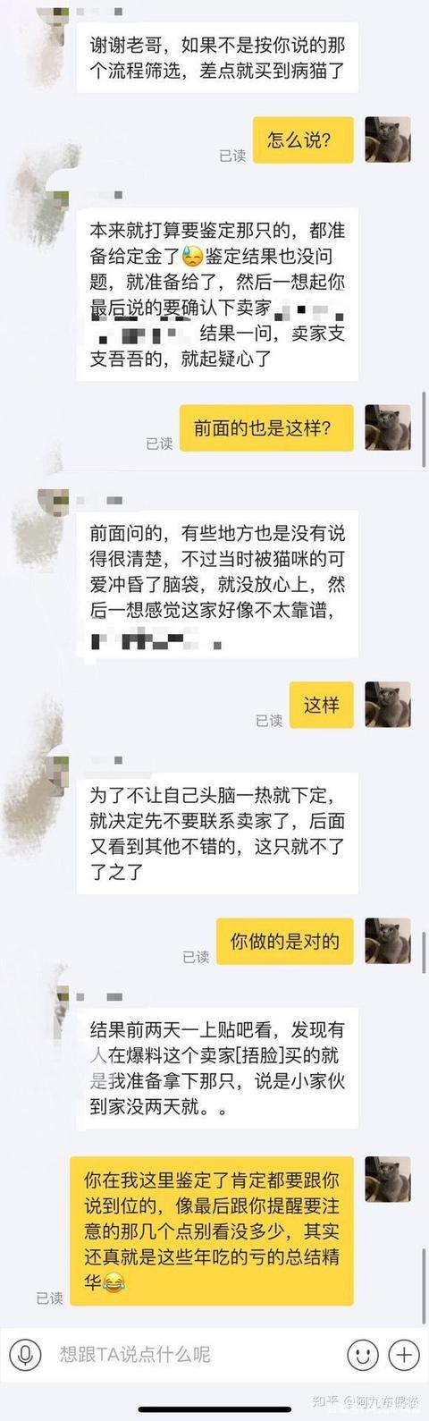 枫叶脸和八字脸的区别 枫叶脸和八字脸的区别