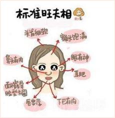 易奇八字算命树 易奇八字算命树