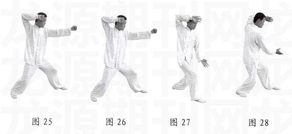 传统八字视频 传统八字视频