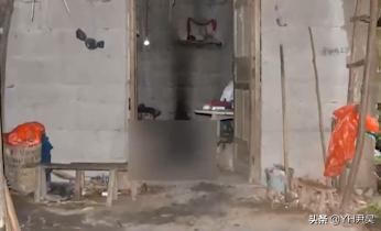 死型犯八字 死型犯八字