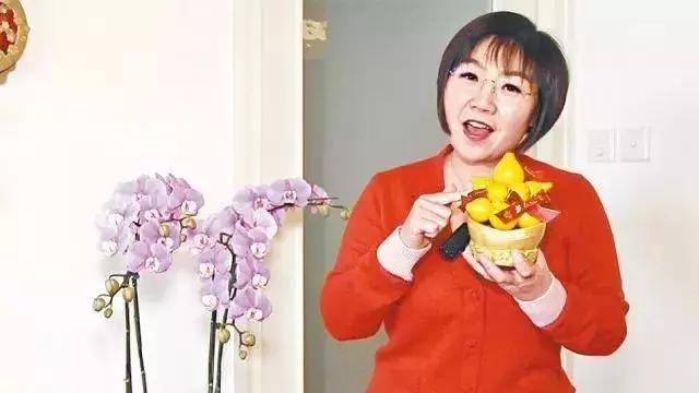 2022年生宋韶光生肖运势 2022年生宋韶光生肖运势