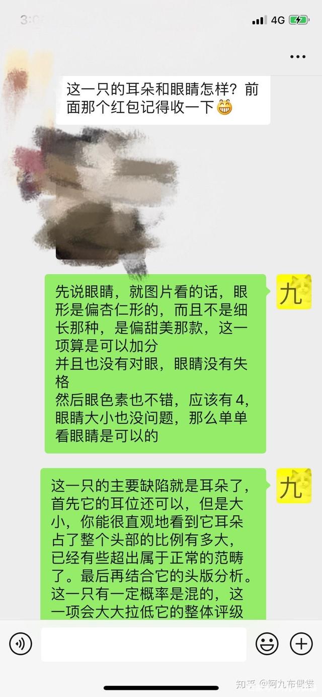 枫叶脸和八字脸的区别 枫叶脸和八字脸的区别