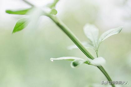 2019年5月3日八字 2019年5月3日八字