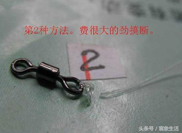 邦八字环图片
