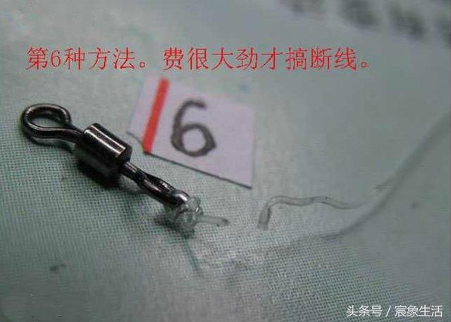 邦八字环图片