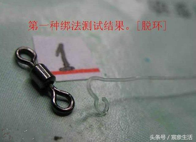 邦八字环图片