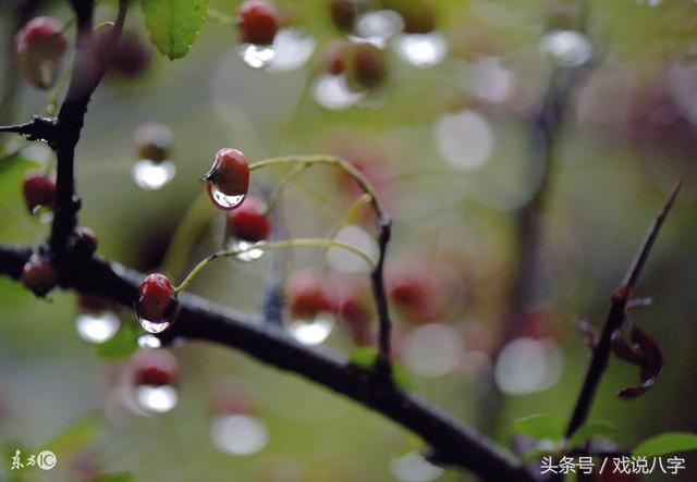 八字葵水是什么命