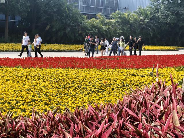 刘远八字视频讲座 刘远八字视频讲座
