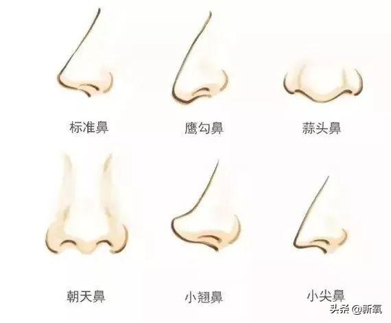 梁洛施八字面相 梁洛施八字面相