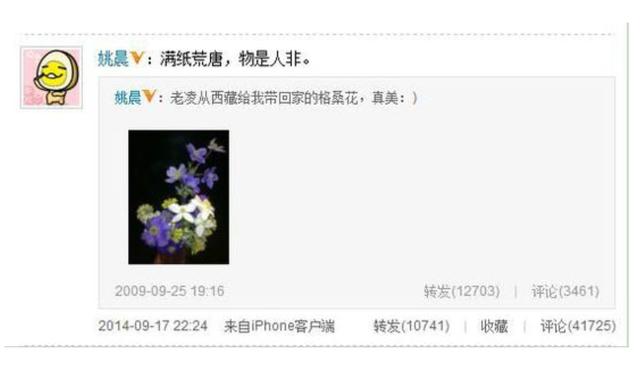 姚晨凌潇肃八字