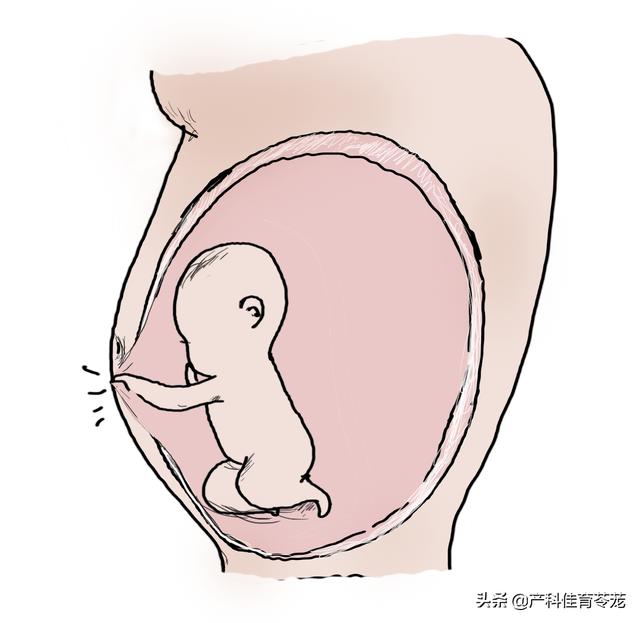 时辰八字算命运