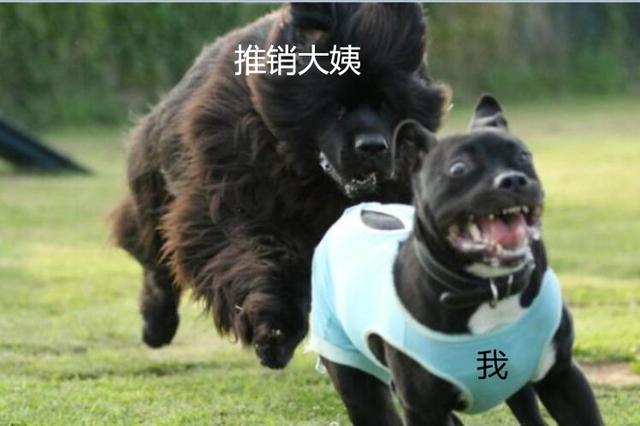 教学楼八字标语 教学楼八字标语