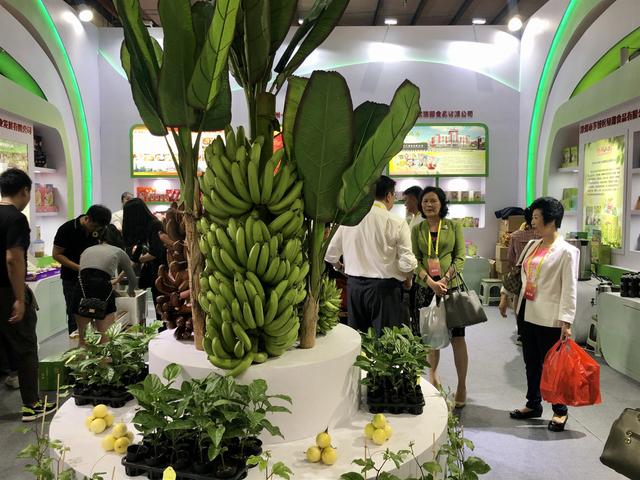 刘远八字视频讲座 刘远八字视频讲座