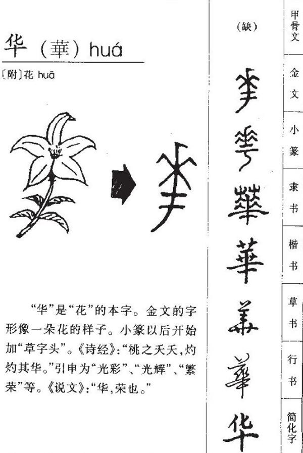刘德华的八字分析