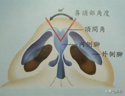 梁洛施八字面相 梁洛施八字面相