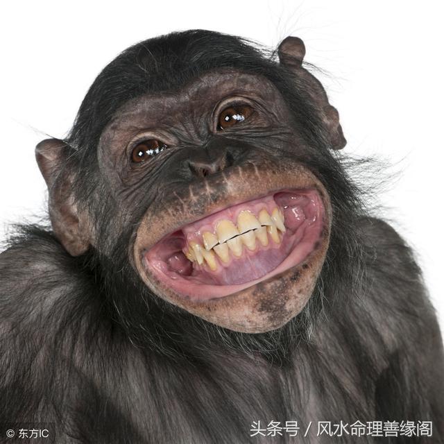 八字看本月运势