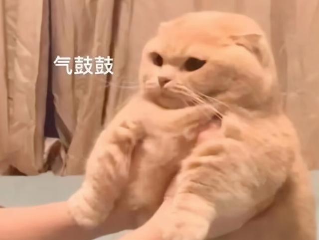 教学楼八字标语 教学楼八字标语