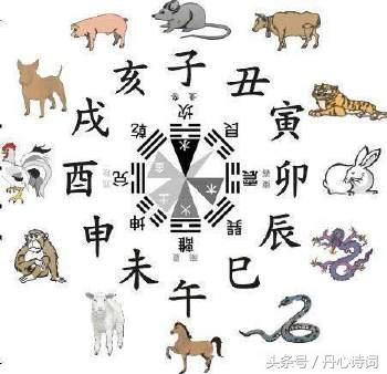 八字喜火的楼层