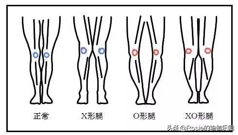 闫妮八字分析 闫妮八字分析