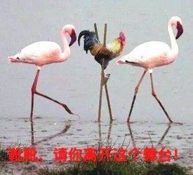 命理八字有精神病会终生