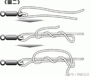邦八字环图片