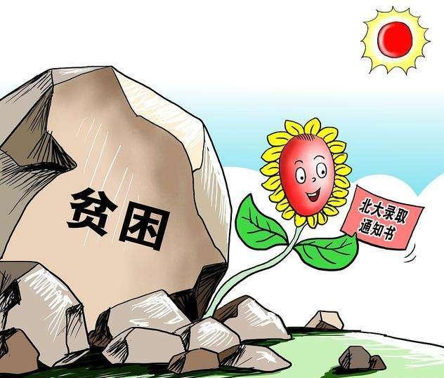 清华大学的学霸八字