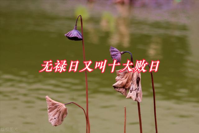 寅月癸亥女2022壬寅年运势