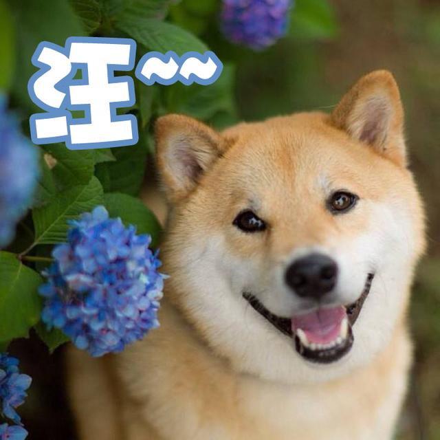 怎么给自己孩子八字取名