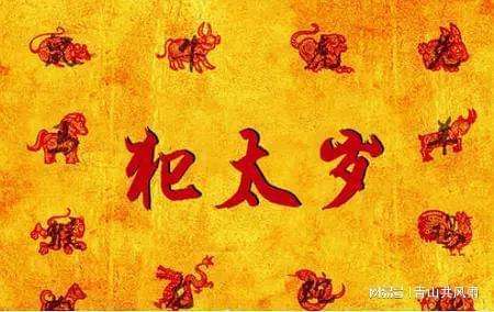 身弱甲木2022年壬寅年运势
