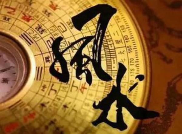 八字喜木的如何补寅木