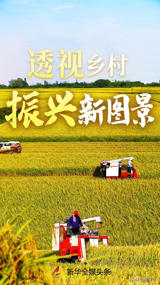 八字透视未来老公老婆