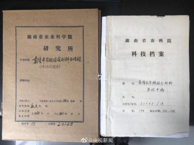 八字纹身手稿汉字 八字纹身手稿汉字