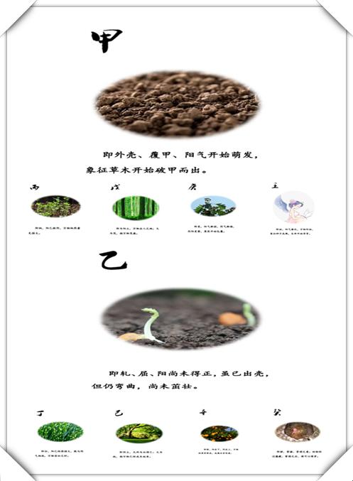 八字年上起月法 八字年上起月法