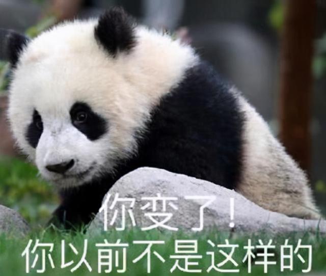教学楼八字标语 教学楼八字标语