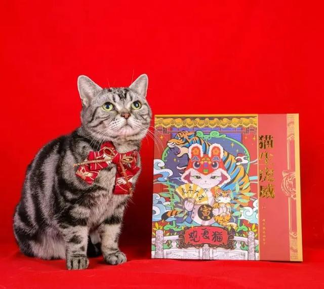 丙寅年腊月初二的八字 丙寅年腊月初二的八字