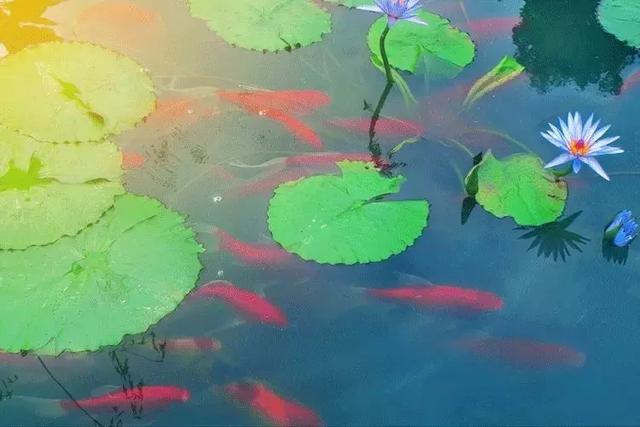 生辰八字看五行的意义