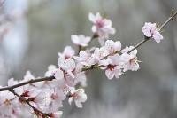 己亥流年结婚的八字 己亥流年结婚的八字