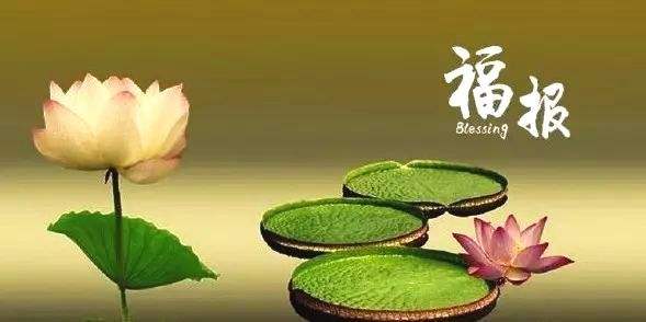 成格成局的八字特点