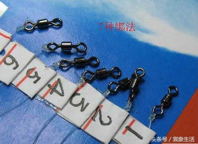 邦八字环图片