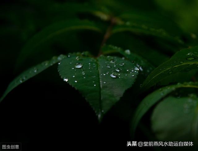 男命八字只有一个偏财 男命八字只有一个偏财