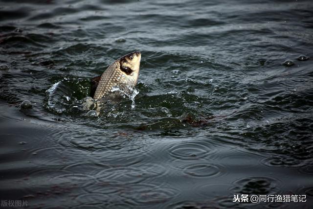 子线怎么绑八字环结实