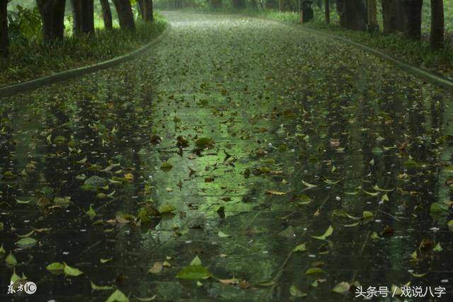 八字葵水是什么命