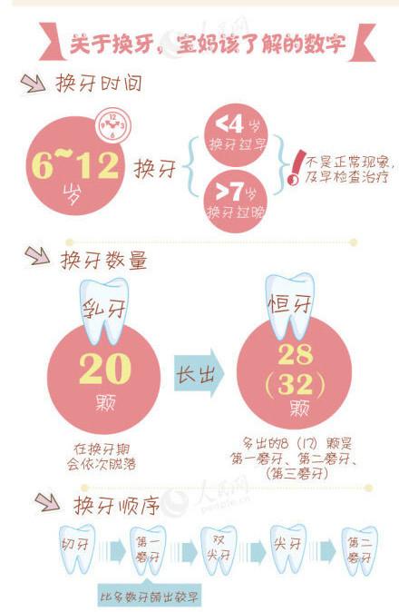 为什么宝宝下牙成八字