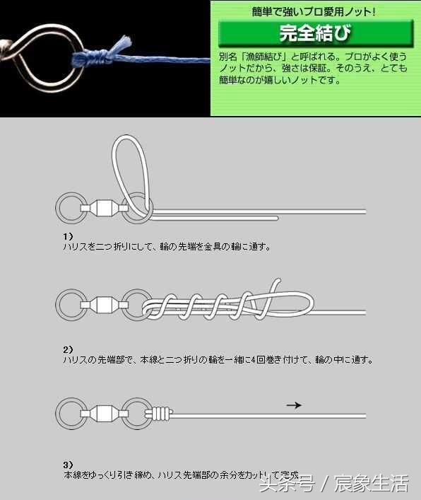 邦八字环图片