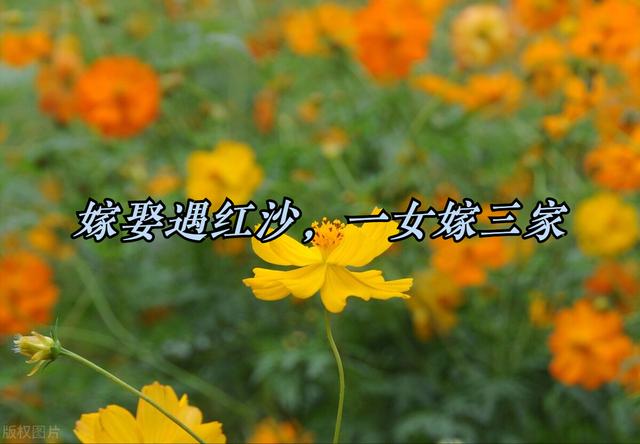寅月癸亥女2022壬寅年运势