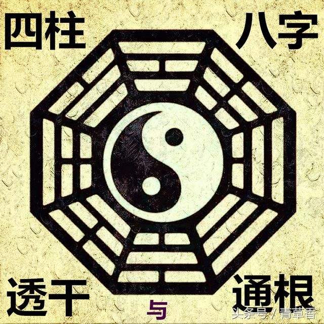 八字看日柱