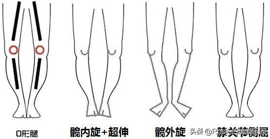 闫妮八字分析 闫妮八字分析