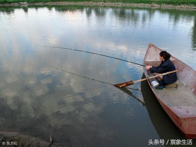 邦八字环图片