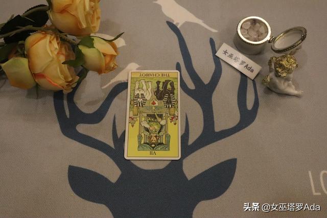 81年属鸡射手座2022年3月感情运势